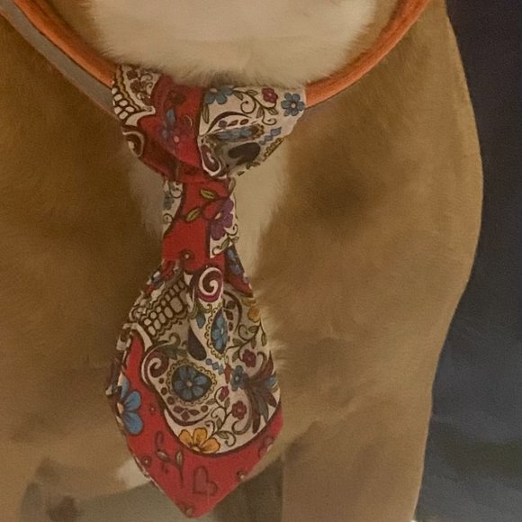 Dog ties - Picture 8 of 11